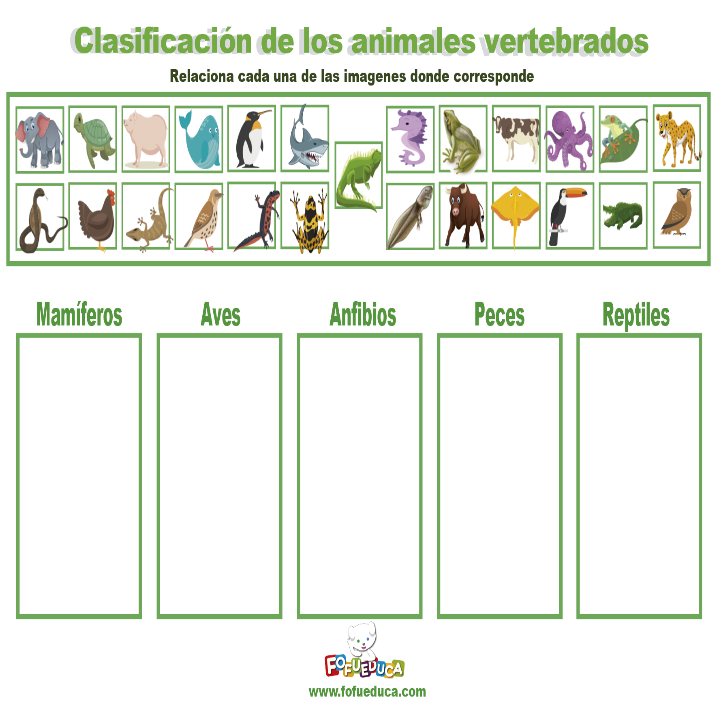 CLASIFICACIÓN DE LOS ANIMALES VERTEBRADOS