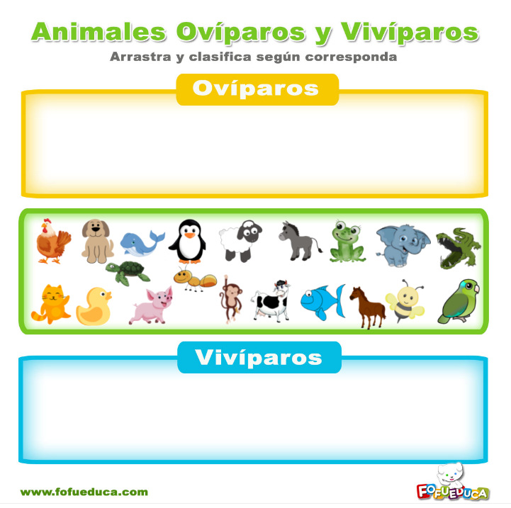 ANIMALES OVIPAROS Y VIVIPAROS