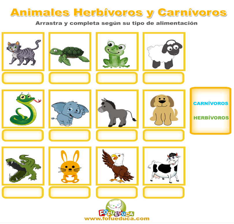ANIMALES HERBÍVOROS Y CARNÍVOROS